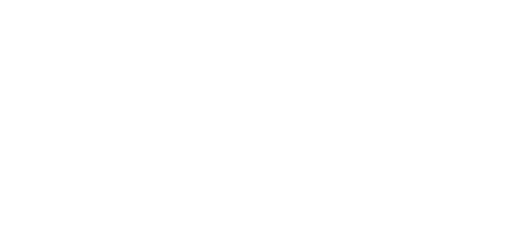 Dorchester Dog Walking & Boarding